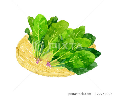竹篩上的菠菜：手繪水彩畫的新鮮蔬菜 122752092