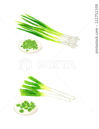 切好的蔥（長蔥、萬能蔥）的套裝手繪水彩畫的新鮮蔬菜 122752109