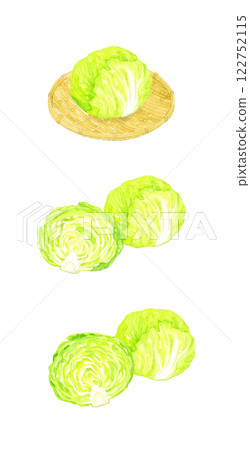 生菜套裝新鮮蔬菜手繪水彩插畫素材 122752115
