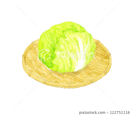 Lettuce on a bamboo sieve: Hand-drawn watercolor illustration of fresh vegetables Lettuce on a bamboo sieve: Hand-drawn watercolor illustration of fresh vegetables 122752116