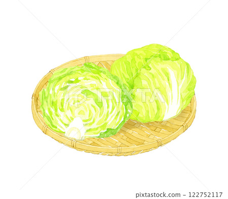 竹篩上的生菜：手繪水彩畫的新鮮蔬菜 122752117
