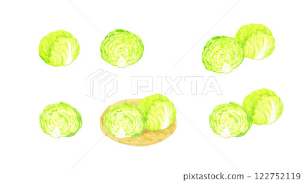 Lettuce set Fresh vegetable hand-drawn watercolor illustration material Lettuce set Fresh vegetable hand-drawn watercolor illustration material 122752119