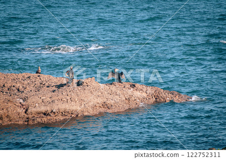 Torii gate of Kamiiso, Oarai Town, Ibaraki Prefecture Torii gate of Kamiiso, Oarai Town, Ibaraki Prefecture 122752311