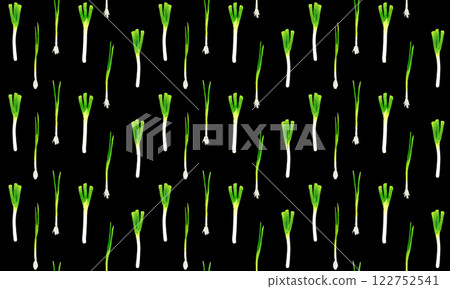 蔥花圖案 手繪水彩插畫食物圖案 122752541