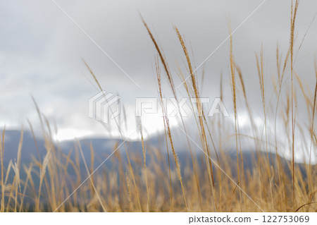 Hakone Hakone Shrine Shrine HAKONE Hakone Hakone Shrine Shrine HAKONE 122753069