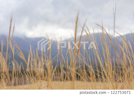 Hakone Hakone Shrine Shrine HAKONE Hakone Hakone Shrine Shrine HAKONE 122753071