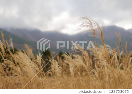 Hakone Hakone Shrine Shrine HAKONE 122753075