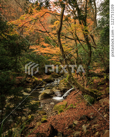 箱根 箱根神社 神社 箱根 122753109