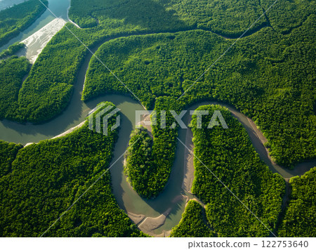 Amazing abundant mangrove forest, Aerial view of forest trees Rainforest ecosystem and healthy environment background, Texture of green trees forest top down, High angle view 122753640