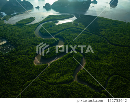 Amazing abundant mangrove forest, Aerial view of forest trees Rainforest ecosystem and healthy environment background, Texture of green trees forest top down, High angle view 122753642