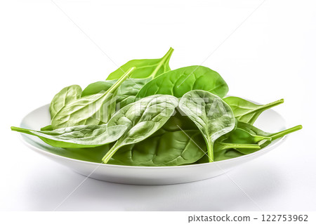 菠菜圖片素材 122753962