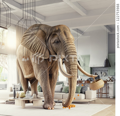 Elephant in a modern living room 122753988