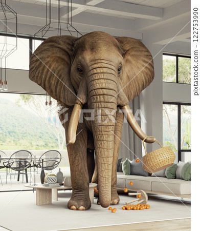 Elephant in a modern living room 122753990