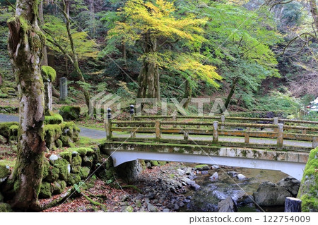 The Zen Buddhist gardens next to Daihonzan Eiheiji Temple (the Temple of Eyernal Peace) in Fukui Japan 122754009