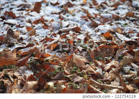 Winter image 122754119