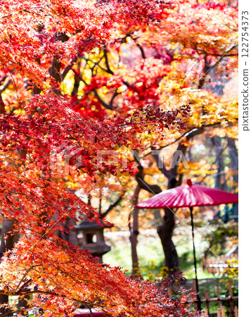 晴朗的深秋，色彩鮮豔的秋葉和紅色的日本雨傘的景色 122754373