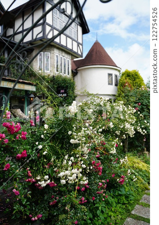 玫瑰和西式房屋 122754526