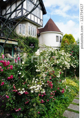 Roses and Western-style houses 122754527