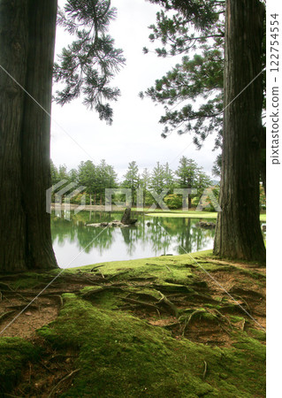 Motsuji Temple Garden, Neutral Stone, World Heritage Site (Hiraizumi Town, Iwate Prefecture) Motsuji Temple Garden, Neutral Stone, World Heritage Site (Hiraizumi Town, Iwate Prefecture) 122754554