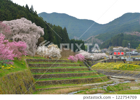 Cape Beanbee in Uda City, Nara Prefecture Cape Beanbee in Uda City, Nara Prefecture 122754709