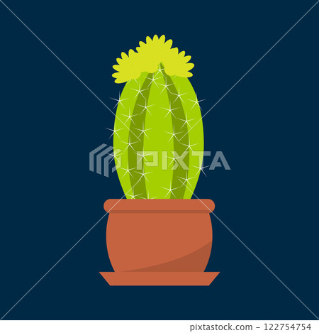 Houseplant cactus in a pot, natural decor for home and interior Houseplant cactus in a pot, natural decor for home and interior 122754754