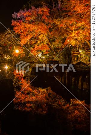 Kamakura Hasedera Temple Illumination 122754763