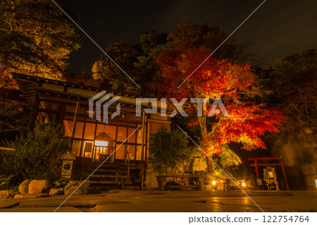 Kamakura Hasedera Temple Illumination 122754764