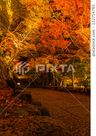 Kamakura Hasedera Temple Illumination 122754765