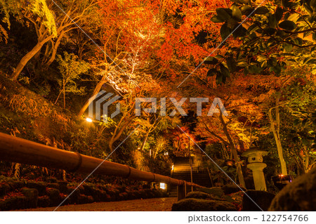 Kamakura Hasedera Temple Illumination Kamakura Hasedera Temple Illumination 122754766