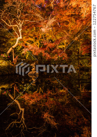 Kamakura Hasedera Temple Illumination 122754767