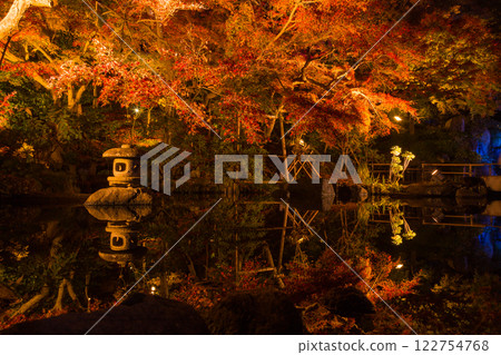 Kamakura Hasedera Temple Illumination 122754768