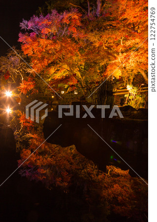 Kamakura Hasedera Temple Illumination Kamakura Hasedera Temple Illumination 122754769