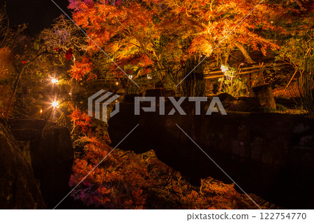 Kamakura Hasedera Temple Illumination 122754770