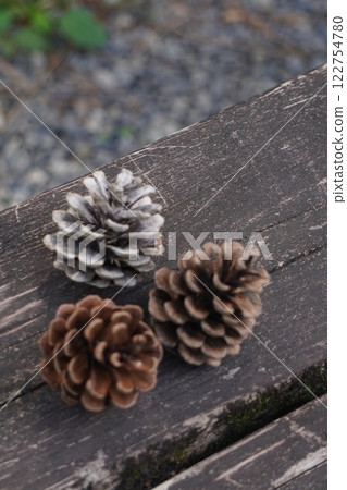 落在地上的松果 落在地上的松果 122754780