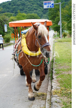 Lake Haruna Tote Horse Carriage Lake Haruna Tote Horse Carriage 122755102