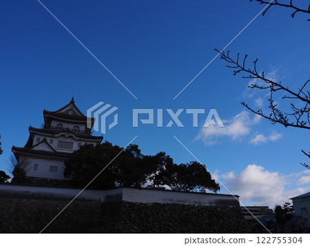 Kishiwada Castle in winter 122755304