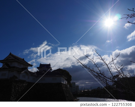 Kishiwada Castle in winter 122755308