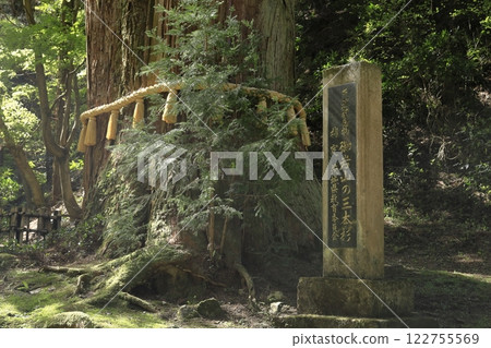 日本屈指可數的能量聖地之一——大岩神社的聖樹“三本杉” 日本屈指可數的能量聖地之一——大岩神社的聖樹“三本杉” 122755569