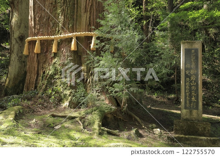 The sacred tree "Sanbonsugi" of Oiwa Shrine, one of Japan's most powerful power spots The sacred tree "Sanbonsugi" of Oiwa Shrine, one of Japan's most powerful power spots 122755570
