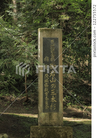 The stone monument of the sacred tree "Sanbonsugi" at Oiwa Shrine, one of Japan's most powerful power spots The stone monument of the sacred tree "Sanbonsugi" at Oiwa Shrine, one of Japan's most powerful power spots 122755572
