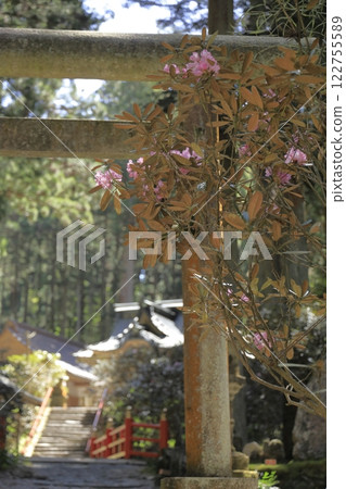 大岩神社的杜鵑花鳥居是日本最具靈性的聖地之一 122755589