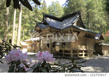 大岩神社是日本最有威力的神社之一，這裡有美麗的粉紅杜鵑花和祭拜殿堂 122755617