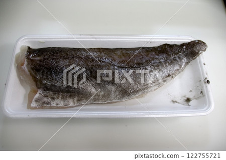 新鮮鱈魚 新鮮鱈魚 122755721