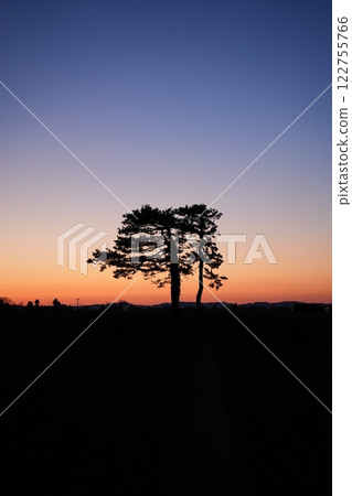 擁抱樹木 122755766