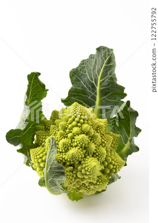 白色背景下的羅馬花椰菜 122755792