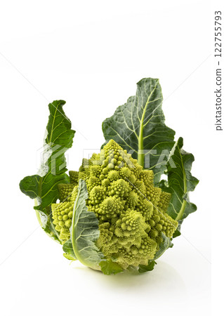白色背景下的羅馬花椰菜 白色背景下的羅馬花椰菜 122755793