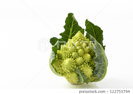 白色背景下的羅馬花椰菜 白色背景下的羅馬花椰菜 122755794