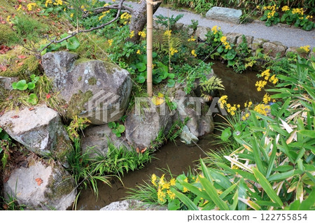 The scenic beauty of Yokokan Garden in Fukui City in Fukui prefecture Japan 122755854