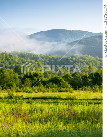 mountainous rural landscape of ukraine in summer. scenic outdoor view. grassy meadow on a misty morning. carpathian countryside scenery with forest on a hill behind the pasture mountainous rural landscape of ukraine in summer. scenic outdoor view. grassy meadow on a misty morning. carpathian countryside scenery with forest on a hill behind the pasture 122756174