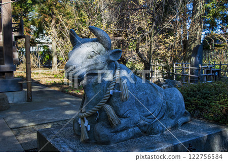 Shiraoka Hachiman Shrine, Shiraoka City, Saitama Prefecture. Cow statue at Shiraoka Tenmangu Shrine. A branch of Yushima Tenmangu Shrine. 122756584